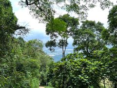 -黄埔油麻山森林公园