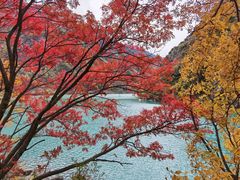-叠溪松坪沟景区