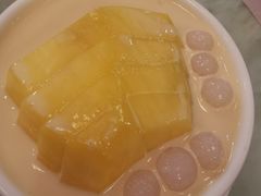 -北戴河集发农业梦想王国