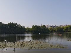 -新江湾城公园