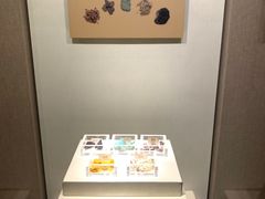 -南越王博物院(王宫展区)