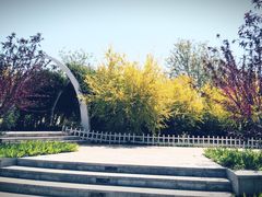 -天津东丽湖风景区