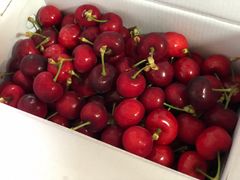 -萝卜寨羌文化生态旅游区
