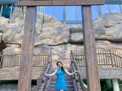 -杭州开元森泊度假乐园