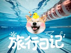 -二十一世纪饭店-游泳馆