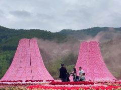 -瓷天下海丝谷