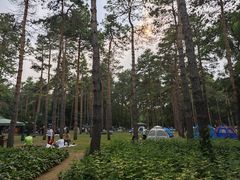 -黑龙江省森林植物园