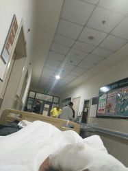 -上海市浦东新区人民医院儿科