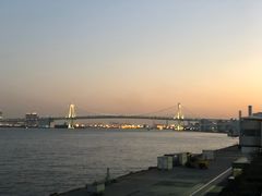 -台场海滨公园船码头