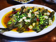 翁公鱼蒸毛豆子-呼吸森林·生态农庄农家乐私房菜