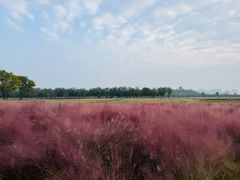 -汉长安城未央宫国家考古遗址公园