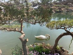 -罗红摄影艺术馆