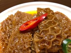 -粤凤佬