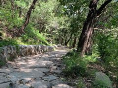 -阳台山自然风景区