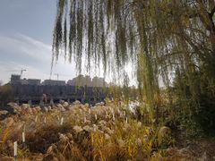 -西安汉城湖景区