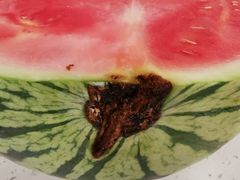 -全而廉(靖宇中路店)