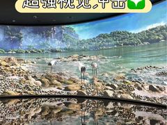 -中国湿地博物馆