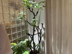 -沐森 •疗愈头疗馆(打浦桥店)