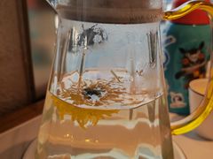 -遇东北林区铁锅炖(南开店)