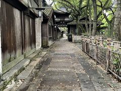 -乌镇西栅景区