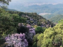 -梧桐山风景名胜区