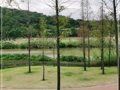 -牛岗山公园