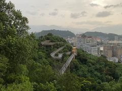 -福道