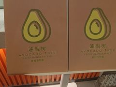 -油梨树 AVOCADO TREE(亮马桥店)