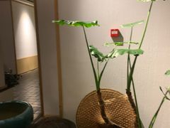 -瓦舍茶馆(聚源路店)