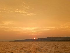 -海豚湾扬帆出海帆船游艇