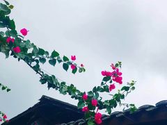 -涞滩古镇