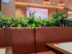 -辣可可·小炒黄牛肉(望京凯德MALL店)