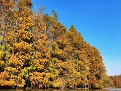 -上海海湾国家森林公园