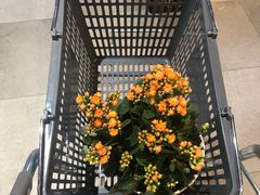 -果蔬好生活超市(乐堤港店)