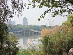 -广西壮族自治区药用植物园