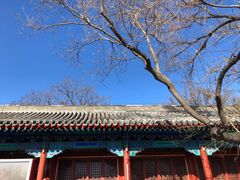 -东华门大街小区