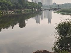 -前关湿地公园