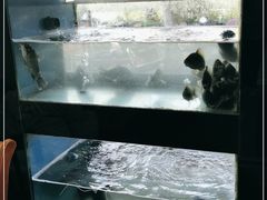 -全乐鱼馆·淳牌有机鱼直营店
