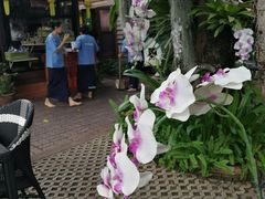 -清迈女子监狱马杀鸡(无分店)