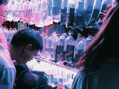 -中环花鸟鱼虫市场