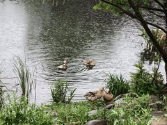 -石塘人家
