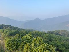 -广州市石门国家森林公园