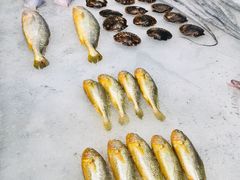 -宴周康·精致江浙菜(周浦店)