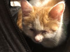 -平行世界·猫咖(首经贸店)