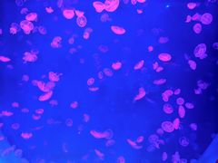 -波塞冬旅游度假区