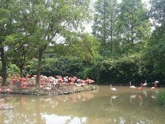 picture-上海浦东康桥绿地假日酒店