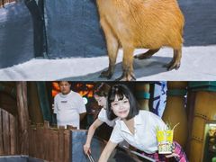 -南昌海洋公园