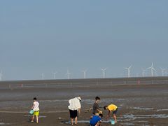 -黄海国家森林公园