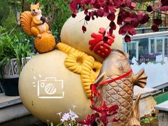 -丽泽山庄·生态怀柔菜·虹鳟鱼(红螺寺店)