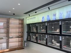 -翊宠yipet猫狗购宠庄园犬舍•猫舍